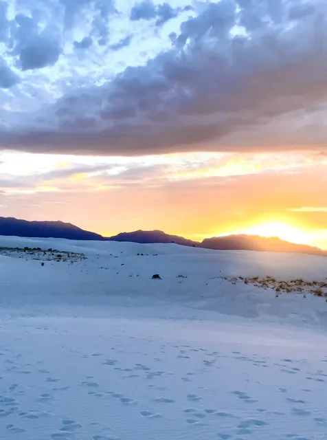 Albuquerque，New Mexico｜4 Days & 3 Nights Travel Itinerary 🌵📸