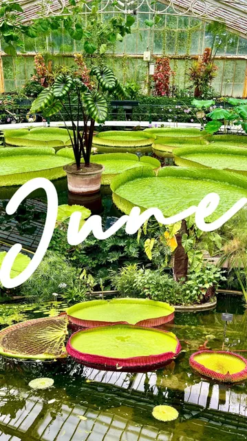 🇬🇧 Kew Gardens: London's Summer Botanical Paradise 🌿🌞