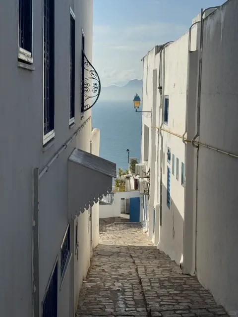 Tunisia Trip - Day 7: The Dawn Glow of Sidi Bou Said 🌅🌊🏡（2）