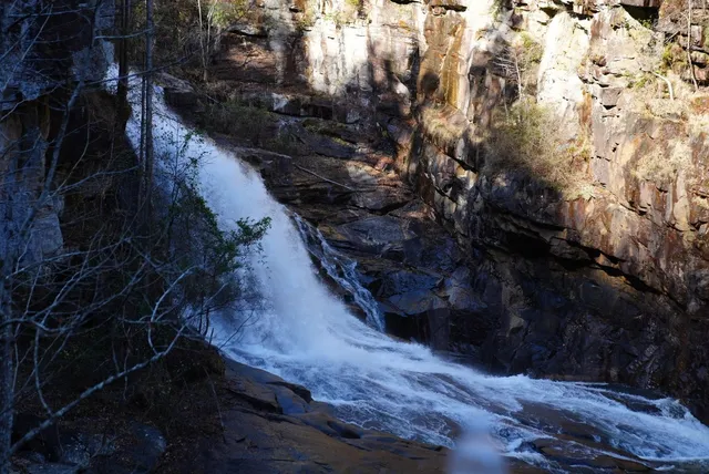 ATL｜Weekly Hike ⛰️💚
