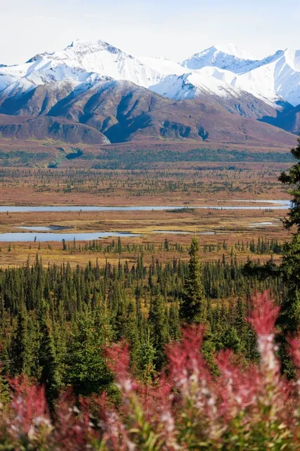 Alaska’s Glass Igloo Adventure | Sleep Under the Northern Lights