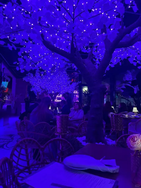 Atlanta | A World Tour of Tapas in One Spot! 🌍✨