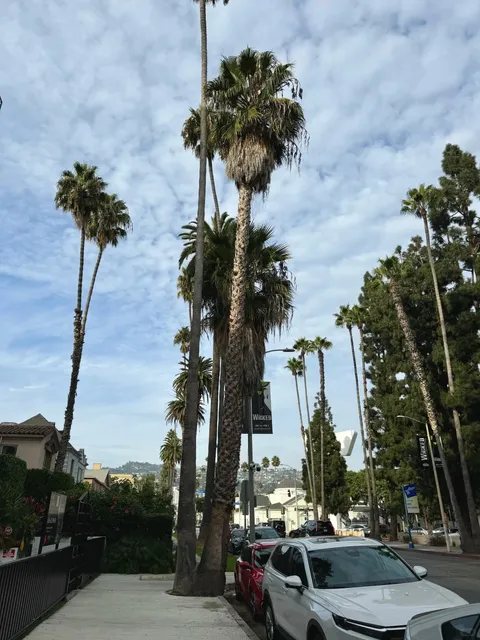 A Leisurely Afternoon with Great Matcha in LA 🍵