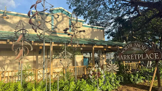 Hawaii 🌺Honolulu｜Ultimate Car-Free Travel Guide 2.0