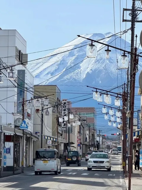 6-Day Journey to Izu, the Ancient Capital of Japan 🐟🍵 
