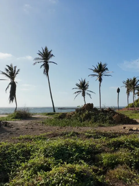 🇸🇳 Senegal: The Ultimate West African Adventure! 🌍✈️