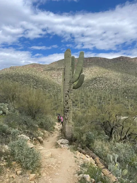 Arizona Tucson Seven Falls Guide 🌵🏞️