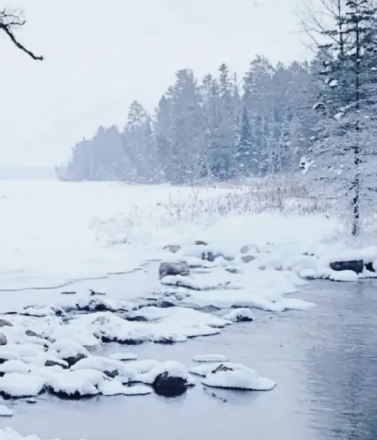 🌲 Itasca State Park | Where the Mighty Mississippi River Begins 🌲
