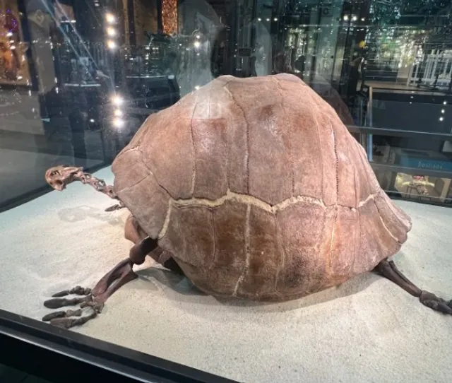 Marriott Savannah Riverfront|Historic Grandeur