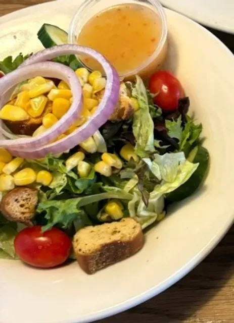 🍻 Hofbräuhaus Pittsburgh | A Slice of Bavaria in the 'Burgh