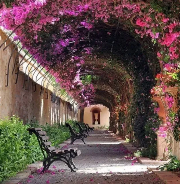 Walesa must go to, a huge, huge, very popular niche park