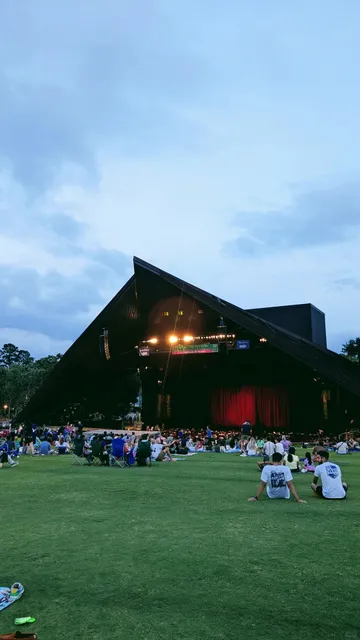 🌳🎬Houston | An Open-Air Cinema Hidden in the Park 