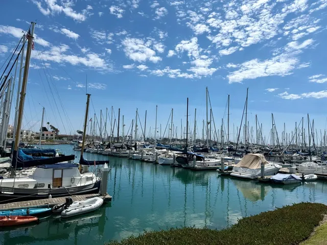 Sun-Kissed & Carefree Vibes 🍃 Ventura Beach  
