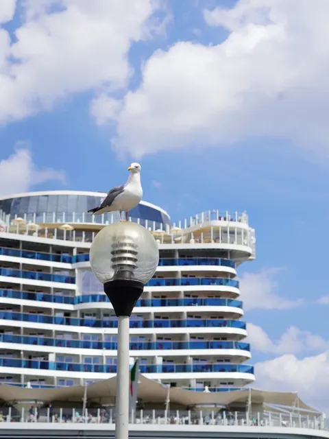 🇩🇪 Summer Vibes in Kiel: A Baltic Harbor Escape ⚓🌞