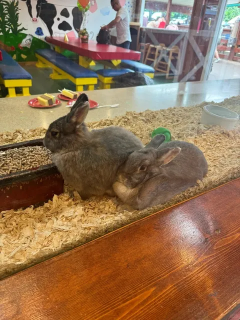 Family Fun at Long Island's White Post Farms! 🐄🌾