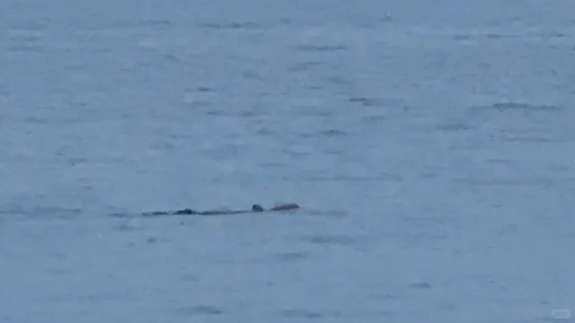 Anchorage, Alaska | 4-Day Winter Trip Guide