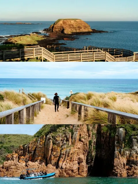 🌊🐧 Phillip Island: A Penguin’s Paradise Awaits!