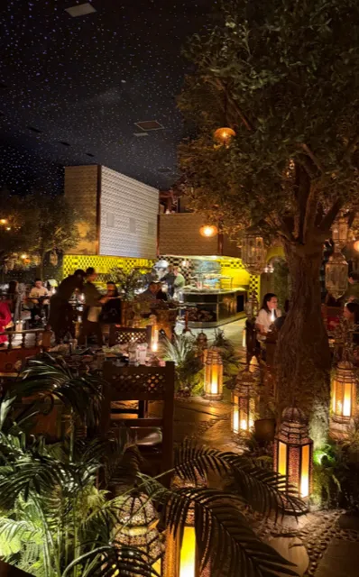 LEILA｜ San Diego Exotic Restaurant 🕌