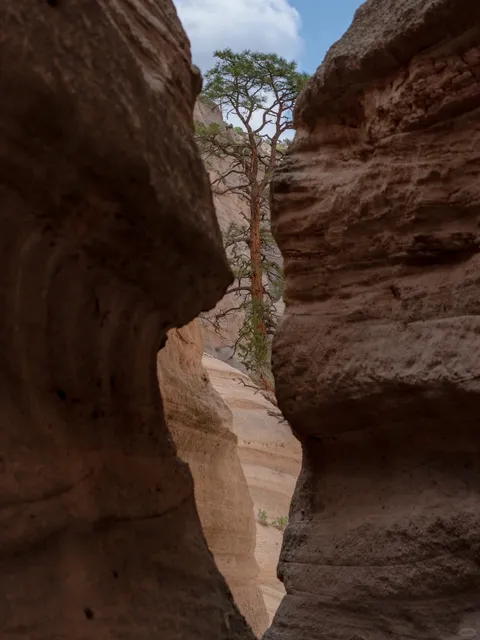 More Dreamy Than Antelope Canyon—The White Antelope Canyon!!! 🏜️✨