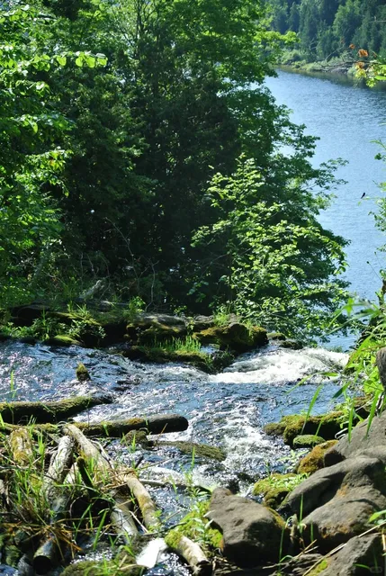 🇨🇦 ​​Toronto Hiking Adventure: Hilton Falls!​​ 🌲🥾