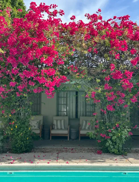 Palm Springs Escape | Sun, Blooms & Spanish Vibes ☀️🌵  