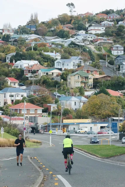 🇳🇿 New Zealand Day 4: Dunedin One-Day Itinerary