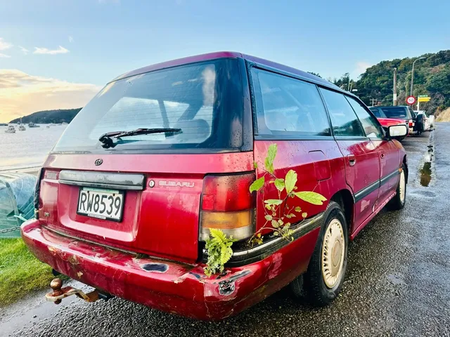 Off to Invercargill Airport! ✈️ Next Stop: Ulva Island