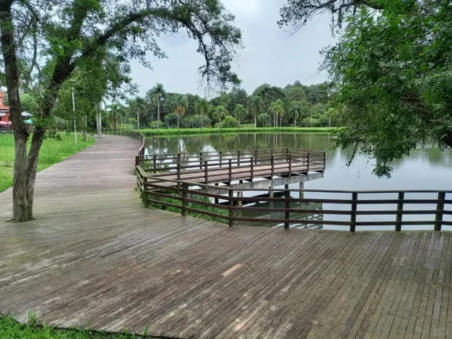 🇧🇷 Curitiba: Brazil's Pioneer Eco-City