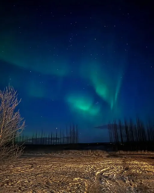 Why Visit Iceland in Winter? Your Ultimate Guide