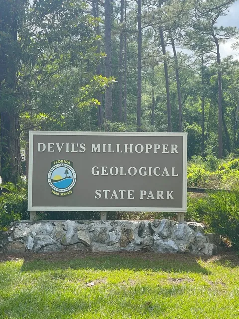 🌿 Florida | Free Park in Gainesville 🌱