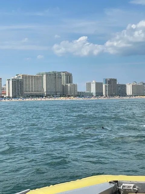 No Hype, No Crowds: A Laid-Back City Walk in Virginia Beach 🚶‍♀️🌊
