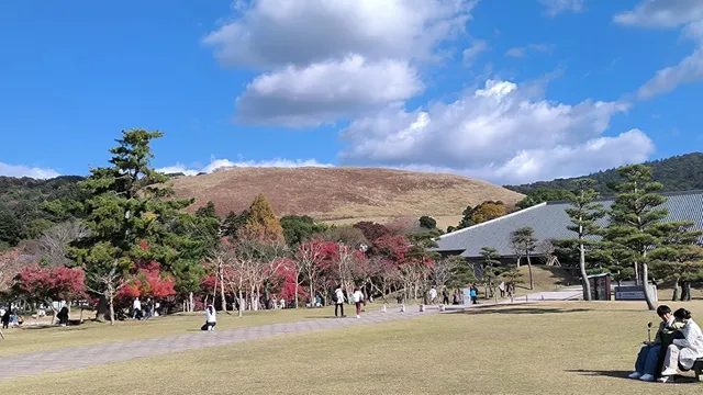  Tōshōdai-ji Temple in Tokyo