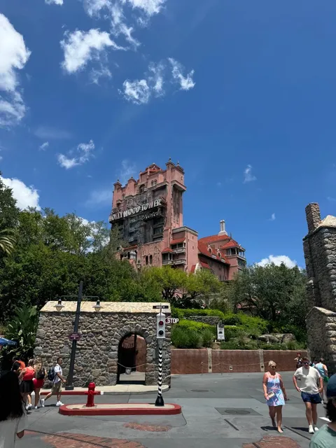 Only the brave visit Disney World Orlando in the summer! 😎