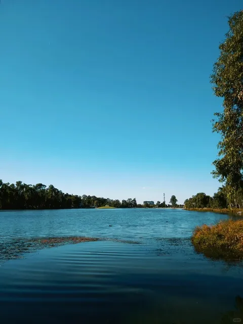 🇦🇺 Australia Working Holiday Diary | Loving Aussie Parks! 🌳☀️