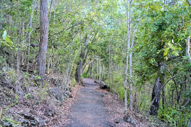 Falling in Love with Hiking—Again and Again! 🥾💘