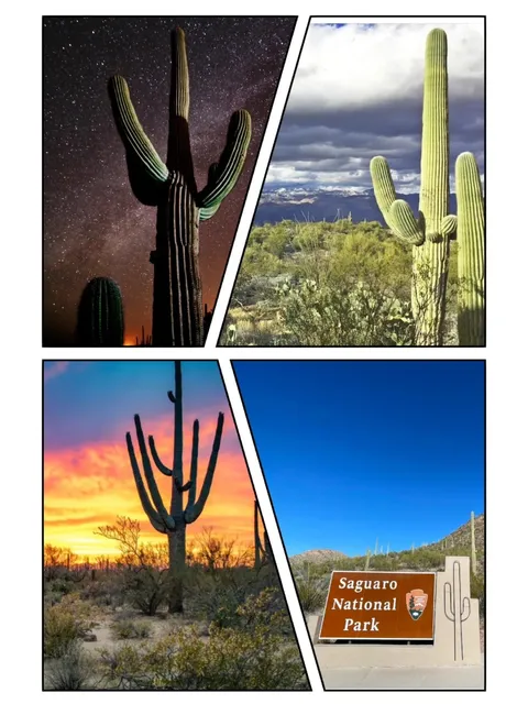 🌵 Tucson with Kids: 4 Days of Desert Fun & Family Eats (Part 1/2) 🧳