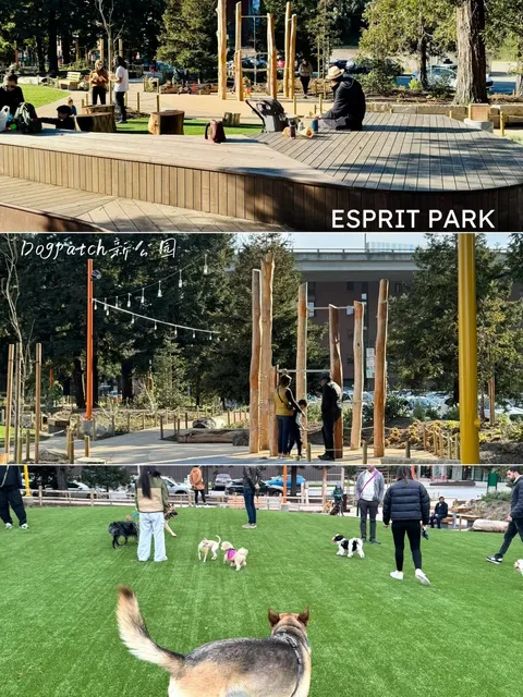 New Park in Dogpatch～Esprit Park🌲