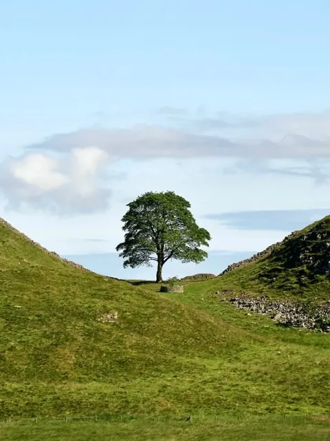 🇬🇧 Hadrian’s Wall: Roman History + Movie Magic! 🏞️🌳