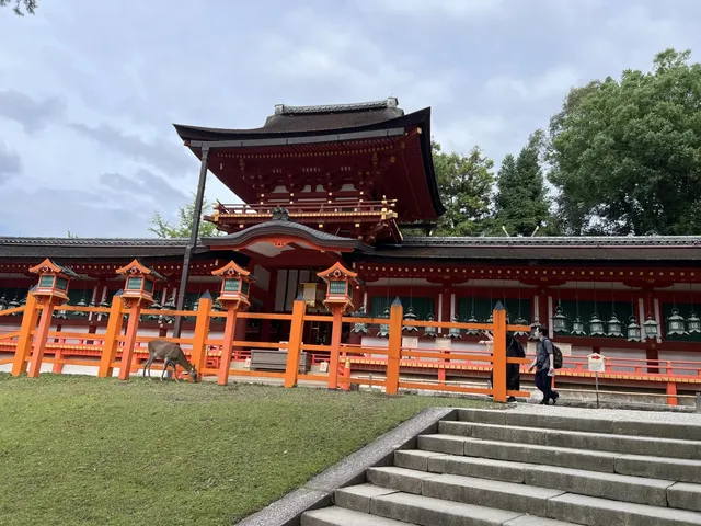 Nishinomaru Garden 🌸🌺