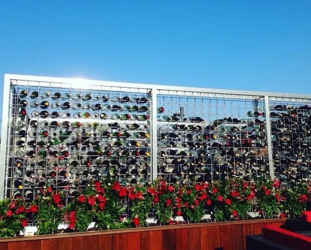 Rooftop Romance in Buffalo