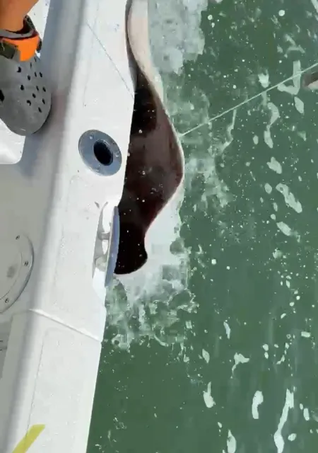 An Unforgettable Day with Captain Daniel! 🎣✨