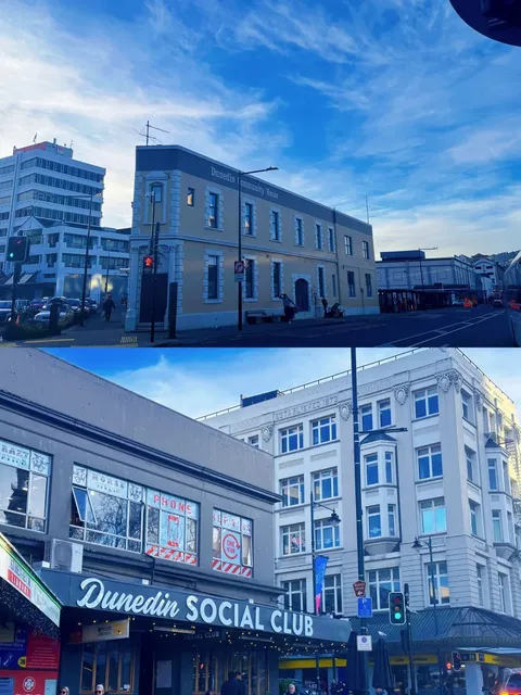 🇳🇿 Dunedin Day Trip Guide | South Island, New Zealand