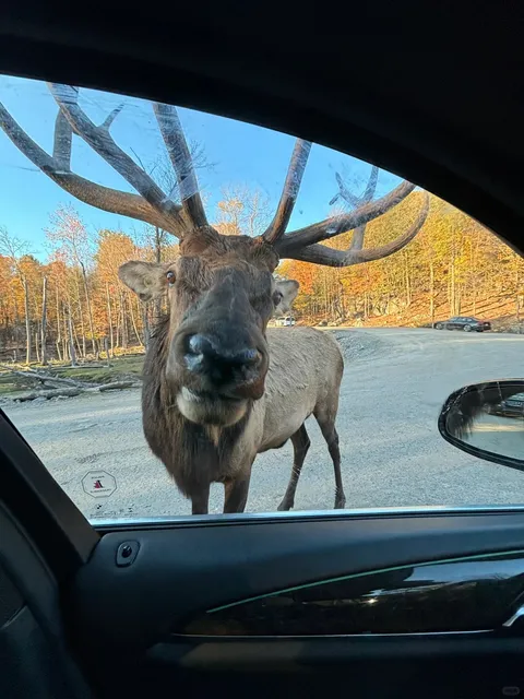 Park Omega + Ottawa + 1000 Islands
