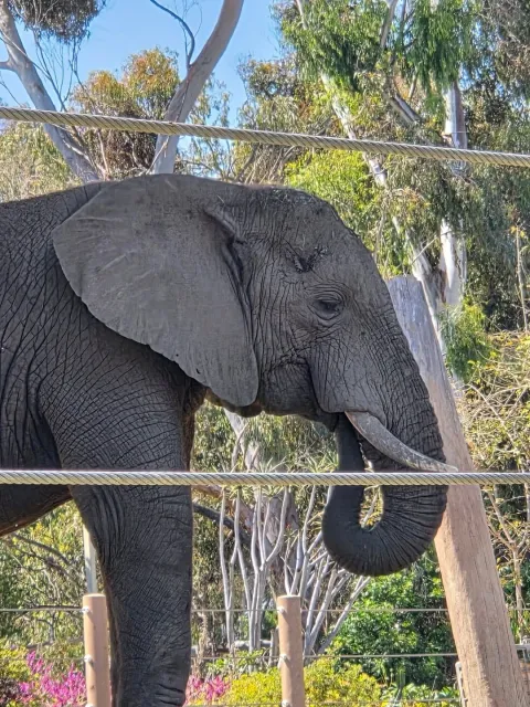 🐾 An Absolutely Fantastic Experience! 🌟