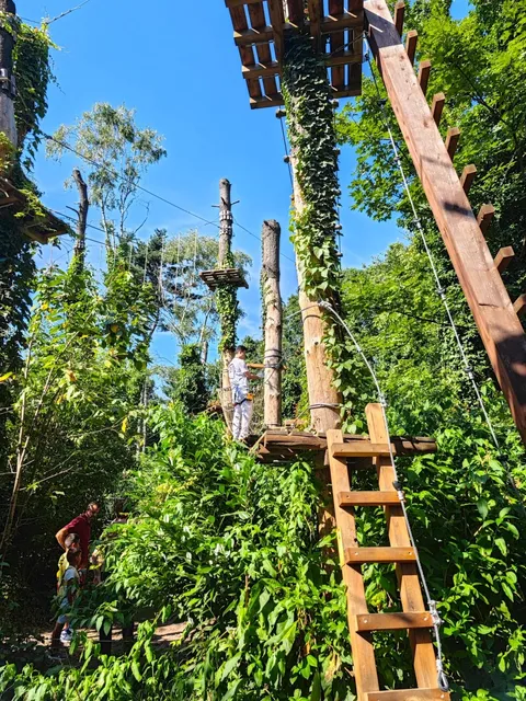 Rope Adventure Park Experience in Milan, Italy