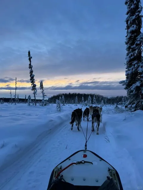 Talkeetna, Alaska—A Flying Utopia! 🛩️ A Hidden Gem! ✨