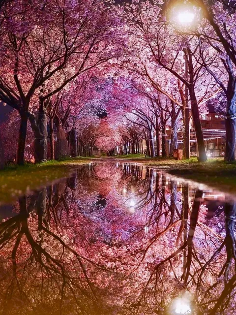 📌 Osaka Sayama Pond Park