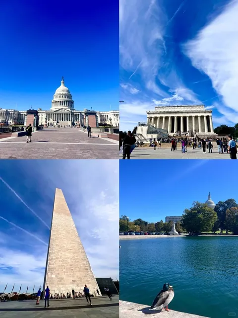 DC Dining & Guide During Shutdown 🍽️🛍️ (With Map)