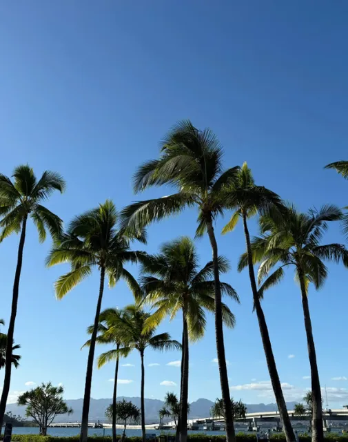 Welcome to Hawaii! 🌺✈️ Hawaii Travel Guide