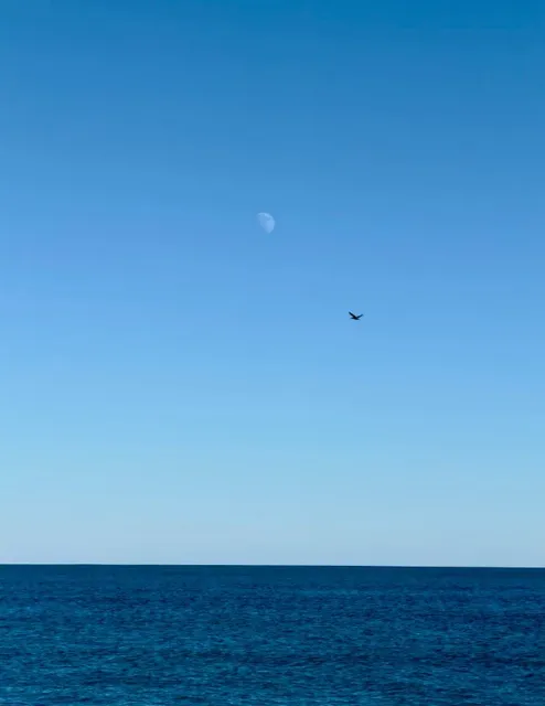 Tybee Island: Your Perfect Beach Escape! 🏝️✨